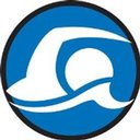 FINS Swim School company logo