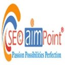 SEO Aim Point Web Solution company logo