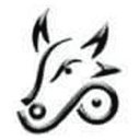Buffalo Biodiesel, Inc. company logo