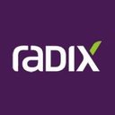 Radix Engenharia e Software company logo