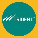 Trident Group company logo