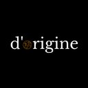 dorigine GmbH company logo