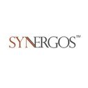 SYNERGOS CONSULTING SERVICES company logo