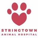 Stringtown Animal Hospital company logo