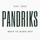 Pandriks Group company logo