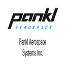 Pankl Aerospace company logo