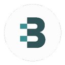 BIRITE Technology Management Services company logo