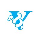 Vitalograph company logo
