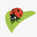 Trad's Pest Control company logo