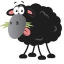 Black Sheep Utilities Ltd company logo