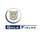 Gold Fields Windfall company logo