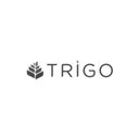 Grupo Trigo company logo