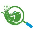 ODC Network company logo