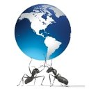 Trendz Web Solution company logo