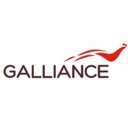 Galliance company logo