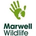 Marwell Wildlife company logo