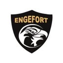 ENGEFORT SISTEMA AVANCADO DE SEGURANCA LTDA company logo