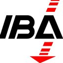 IBA Planungs-GmbH &amp; Co. KG company logo