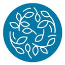 The Palazzo company logo