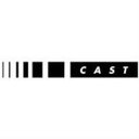 CAST Software Inc. company logo