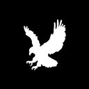 Raw Security &amp; Investigations Inc company logo