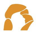 Next Level Recovery company logo