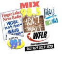 FLX Local Media company logo