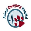 Animal Emergency Hospital Palm Coast company logo