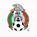 Federación Mexicana de Fútbol company logo