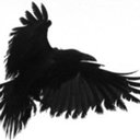 Raven Security Group company logo