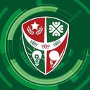 Challney High School for Boys company logo