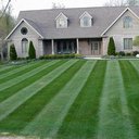 Boley Tree &amp; Landscape Care, Inc. company logo