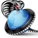 Titanium Cobra Solutions company logo
