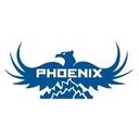 Phoenix Services LLC company logo