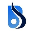 Baniwal Infotech Pvt Ltd company logo