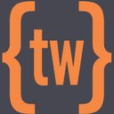 Troy Web Consulting company logo