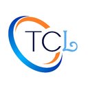 The Cleaning Ladies company logo