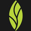 MINT dentistry company logo