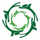 COLEGIO NUEVA ERA ÁLAMO company logo