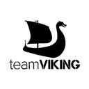 Team Viking company logo