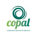 copal company logo