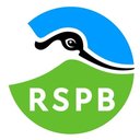 Red Kite company logo