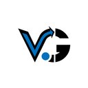 Velocity Capital Group LLC company logo