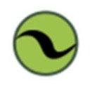 SALVO-IT company logo