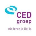 CED-Groep company logo