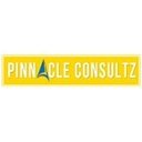 Pinnacle Consultz company logo