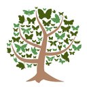 CLIFTON HOMECARE LIMITED company logo