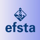 efsta IT Services GmbH company logo