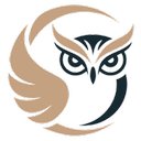 CoreWise Workforce Strategy Partners company logo