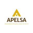 Apelsa Mty. company logo